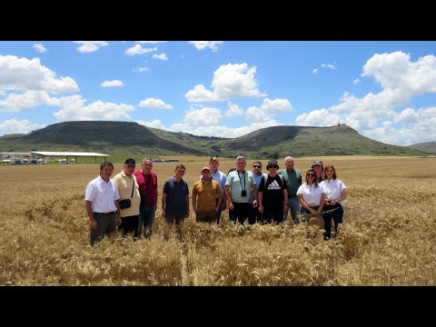 Видео: Взгляд Аргентинского Агронома на нормы высева и на NO-TILL в засушливой местности. Прямой посев