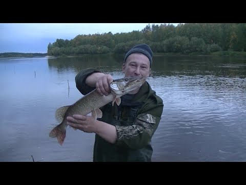 Видео: Подготовка Ловчей Снасти на Налима! Монтаж и Установка Снасти!