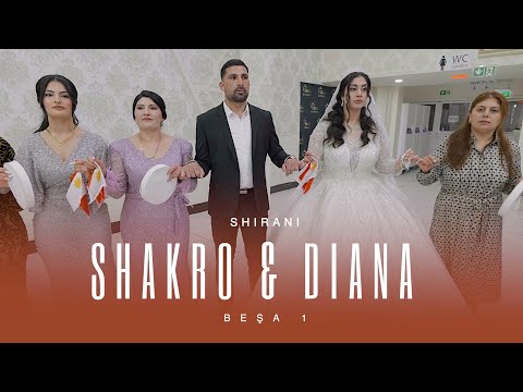 Видео: Shakro & Diana // Shirani//Езидская помолвка//Dawata Ezdia 2023 PART 1