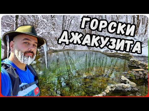 Видео: "Горските джакузита на Железница - лечебната тайна на траките"