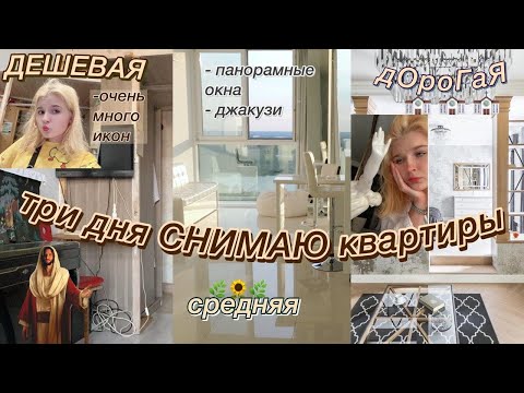 Видео: снимаю дешевую, среднюю и дорогую КВАРТИРЫ.
