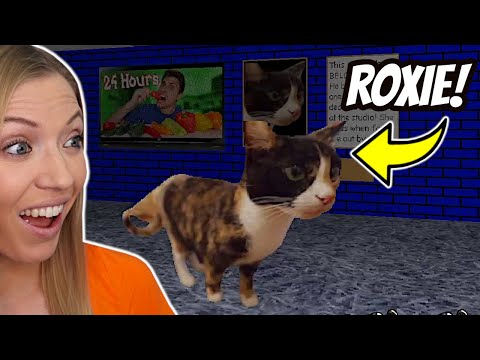 Видео: Мой кот В этом моде Baldi!
