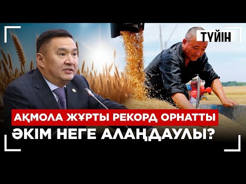 Видео: Қазақстан әлемді таңғалдырды. Қамба астыққа толды | Түйін