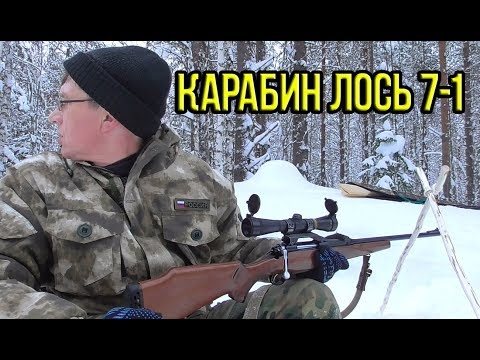 Видео: Лось 7-1. Стрельб. на 100м 190м. Отстрелялся на двойку.