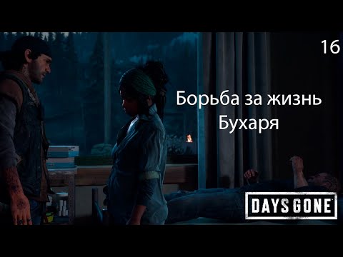 Видео: Прохождение Days Gone №16 #daysgone