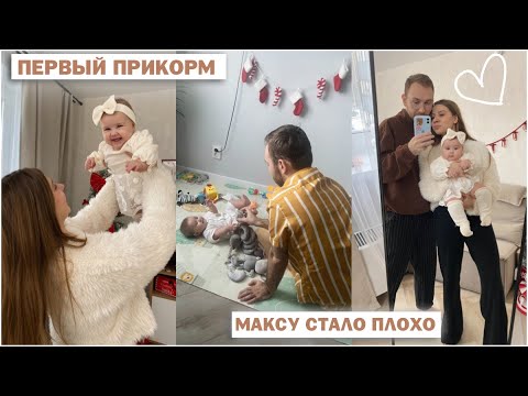 Видео: МАКС ПОТЕРЯЛ СОЗНАНИЕ 😢 Я ИСПУГАЛАСЬ 😭 АМЕЛИИ 6 МЕСЯЦЕВ 💞 ПЕРВЫЙ ПРИКОРМ