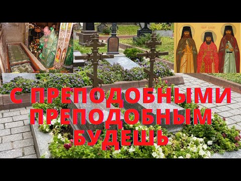 Видео: Оптина Пустынь. Шамордино. Клыково. Паломничество.