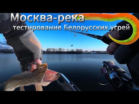 Видео: МОСКВА РЕКА Щука берегись! Работают белорусские угри #нарыбалке