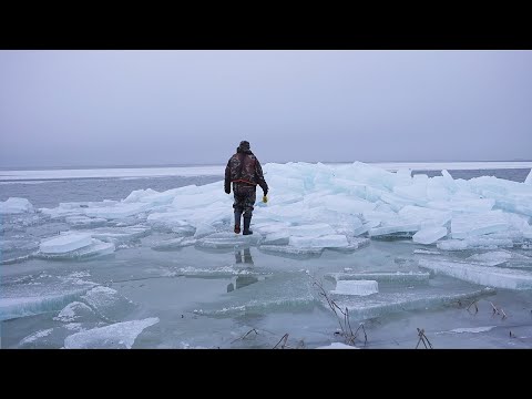Видео: МОРЕ СКОВАЛО ЛЬДОМ, ВОТ ЭТО РЫБАЛКА И ОХОТА! Зимняя рыбалка с ночёвкой. Охота на утку. Жерлицы