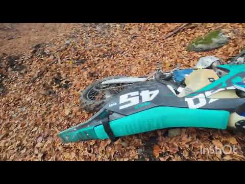 Видео: 31.10.25г. „Пчеличката, която не можеше да спре да бръмчи (Жужи).