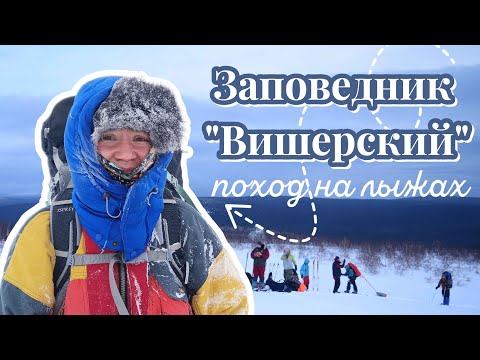 Видео: Лыжный поход по Вишерскому заповеднику