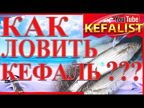 Видео: Рыбалка в Скадовске - #как #ловить #кефаль