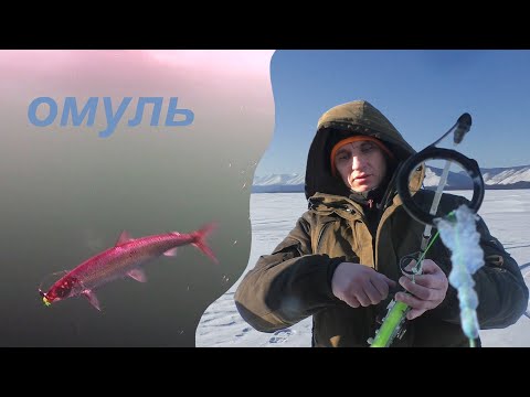 Видео: Рыбалка на ОМУЛЯ  и НАЛИМА Байкал /дорабатываем катушку на омуля /готовим омуля /бинокль АРТЭЛВ
