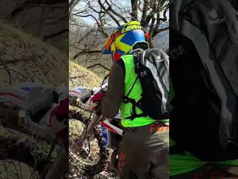 Видео: 26 октября 2025 г.