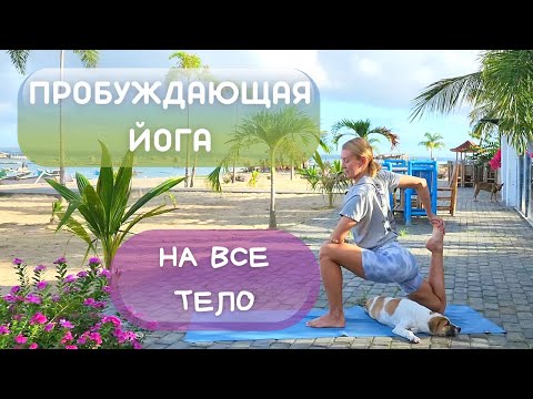 Видео: Йога на все тело/ Йога для всех/ Йога для бодрости и энергии