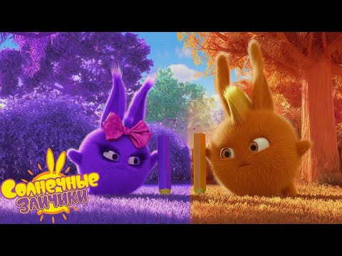 Видео: Битва цветов | сезон 7 | Солнечные зайчики | Сборник мультфильмов для детей