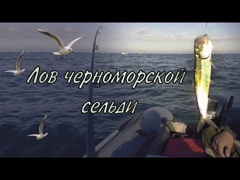 Видео: Лов черноморской сельди / Black sea herring fishing