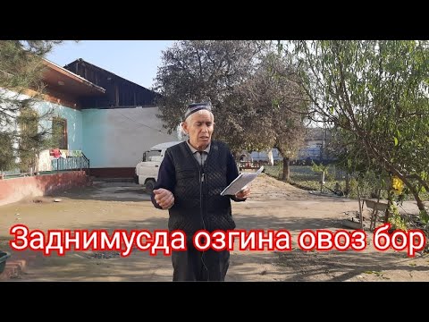 Видео: Заднимусда озгина овоз бор..