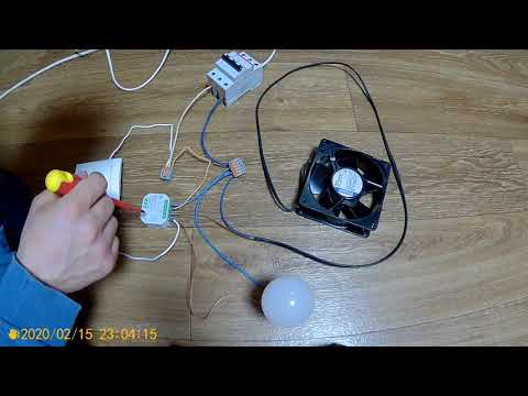 Видео: Реле РО406