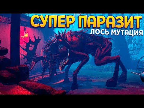 Видео: СУПЕР ПАРАЗИТ ВНУТРИ ЛОСЯ ( Zoochosis )