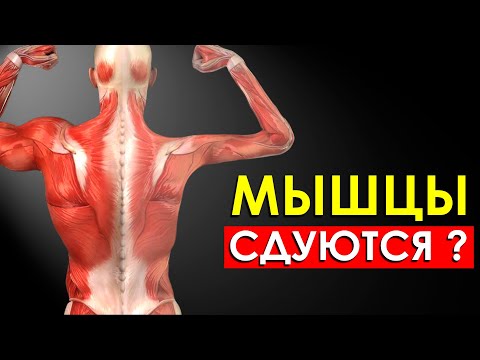 Видео: Что Произойдет с Телом, Если Перестать Тренироваться