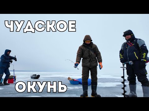 Видео: Зимняя рыбалка с ночёвкой на Чудском озере. Погода плохая, но рыба клюёт. Готовим пойманного окуня.