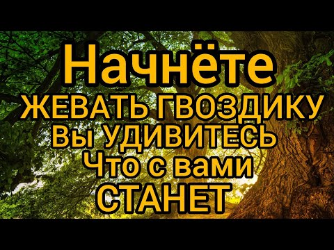 Видео: Просто начал жевать ГВОЗДИКК и понял. Польза и вред Гвоздики ☝️☝️
