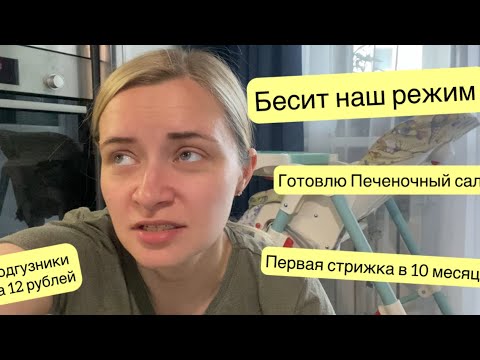 Видео: БЕСИТ НАШ РЕЖИМ / ПЕРВАЯ СТРИЖКА / ПОДГУЗНИКИ ЗА 12 РУБЛЕЙ / ПЕЧЕНОЧНЫЙ САЛАТ