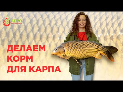 Видео: Особенности производства корма для карпа. Какое сырье можно использовать.