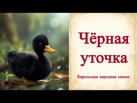 Видео: 🦆 Карельская народная сказка — «Чёрная уточка» | Волшебная история о любви и верности