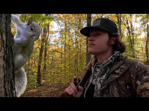 Видео: «Охота на белок УСПЕХ! | Беличьи пельмени от поля к столу»