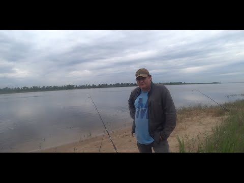 Видео: ВДОХНОВЕНИЕ