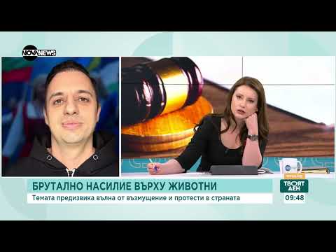 Видео: Ще получат ли Габриела Сашова и Красимир Георгиев ефективни присъди