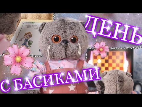 Видео: ВЛОГ С БАСИКАМИ