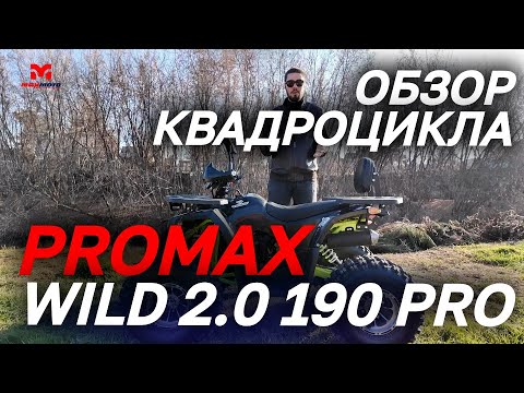 Видео: ОБЗОР детско-подросткового квадроцикла PROMAX (Промакс) WILD 2.0 190 PRO от мотоцентра MAXMOTO🔥