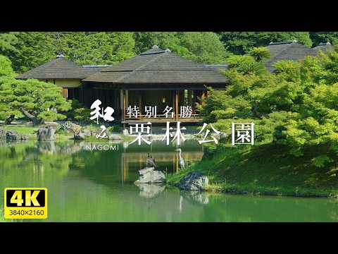 Видео: [Накама] Японский сад / Особое место живописной красоты - Сад Рицурин