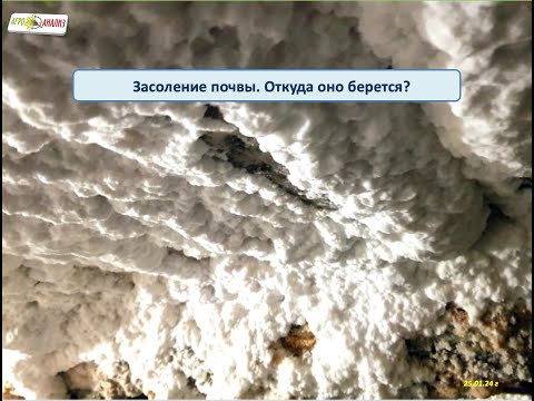 Видео: Засоление почвы.  Откуда оно берется?
