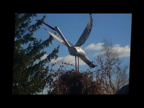 Видео: Чиганак от А до Я