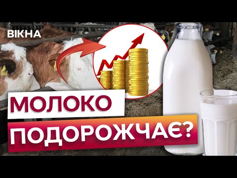 Видео: ЗОЛОТЕ МОЛОКО! 😡 Скільки коштуватиме МОЛОЧКА в 2025