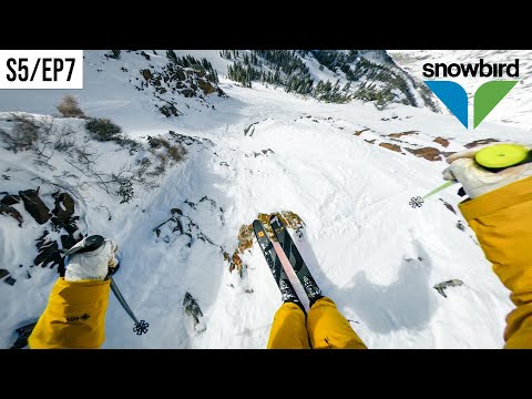 Видео: исследуем НОВЫЕ ЛИНИИ в SNOWBIRD!!
