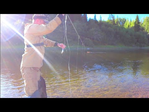 Видео: ЧТО ТАКОЕ КОРАБЛИК И КАК ЛОВИТЬ НА НЕГО РЫБУ? РЫБАЛКА НА СЕВЕРЕ / БЫСТРАЯ РЕКА.