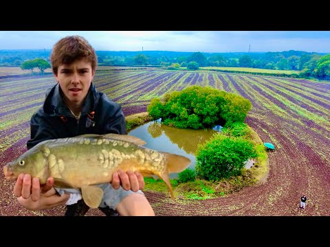 Видео: Спустя несколько месяцев я наконец-то поймал этого карпа в пруду в поле!
