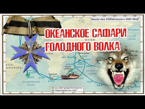 Видео: Океанское сафари рейдера Вольф. Ocean Safari Raider Wolf (отредактировано).