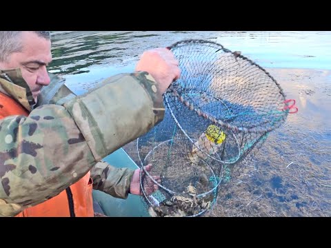 Видео: Рыбалка на мордушку! Травяная креветка. Обкатка лодочного мотора. #1