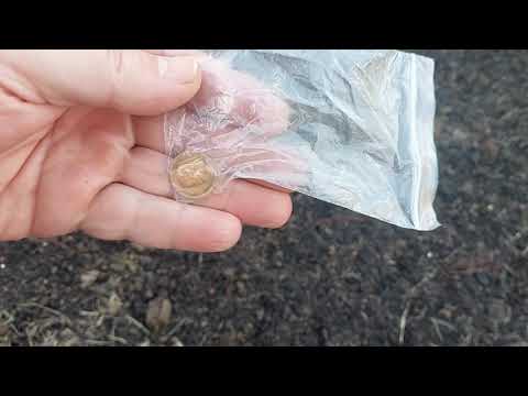 Видео: Deus 2 что может HF2 ,прога "М Блонд"!