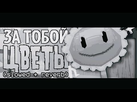 Видео: ЗА ТОБОЙ ЦВЕТЫ (Slowed + Reverb)