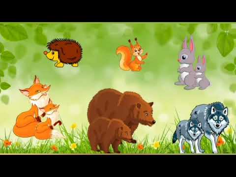Видео: Розвиток мовлення.Дикі тварини навесні.