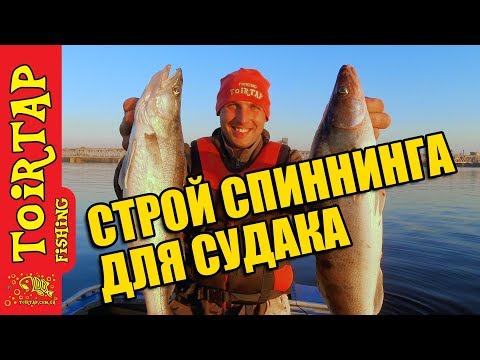 Видео: Рыбалка на СУДАКА! Какой спиннинг лучше! Ловим судака на ЛАССО!