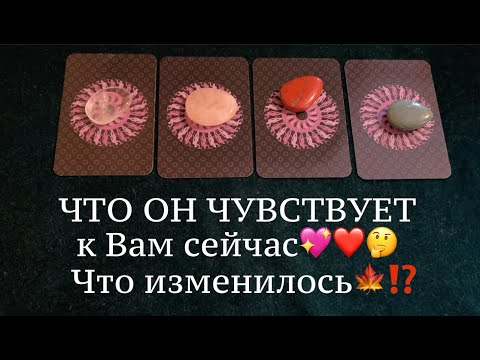 Видео: ЧТО ОН ЧУВСТВУЕТ к ВАМ сейчас🤔❤️💖🍂Таро🔮Tarot/Гадание
