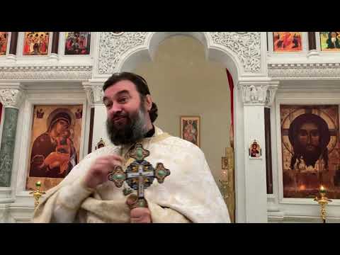 Видео: Проповедь в день памяти апостола Андрея Первозванного. Протоиерей  Андрей Ткачёв.